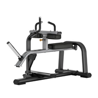 Toorx Professionnel Seated Calf Raise FWX-9700