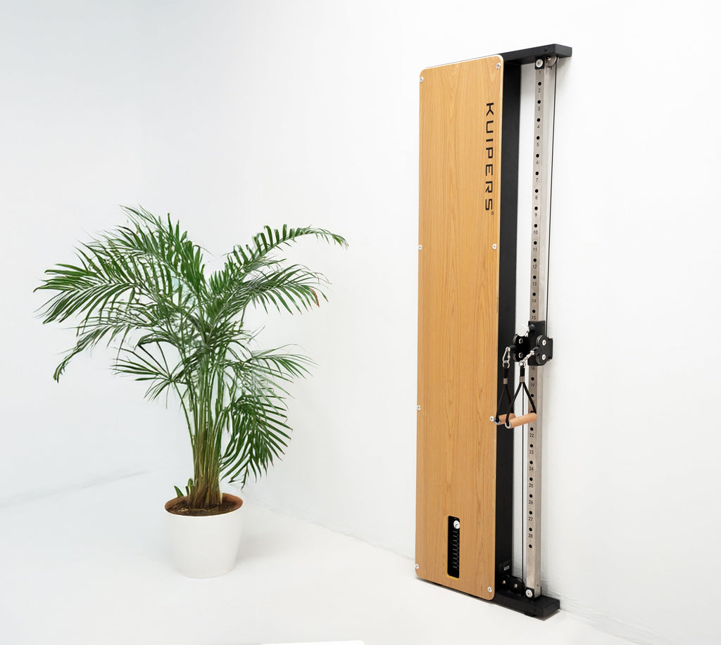Kuipers Smart Cable Station - Frêne Clair