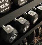 Centr x Hyrox Urethane Hexagon Dumbbell - 20 kg