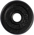 VirtuFit Curlstang Gietijzer 40 kg